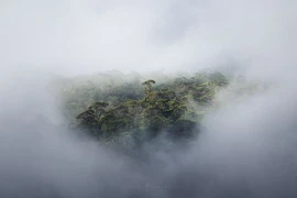 Choáng ngợp trước cảnh đẹp thiên nhiên ở New Zealand