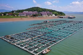 Miền Đông Trung Quốc chuẩn bị ứng phó với bão Dolphin