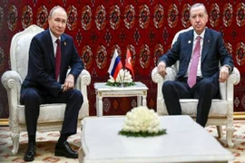 Kết quả cuộc hội đàm giữa Tổng thống Nga và Thổ Nhĩ Kỳ