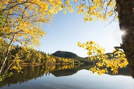 Ngắm cảnh sắc mùa thu tuyệt đẹp ở Bắc Âu