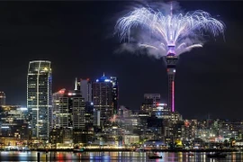 Pháo hoa rực sáng trên bầu trời New Zealand đón năm mới 2026