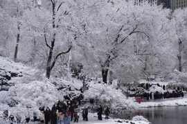 Hình ảnh tuyết rơi trắng xóa ở thành phố New York