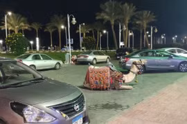 Loạt hình gây kinh ngạc về cuộc sống ở Ai Cập