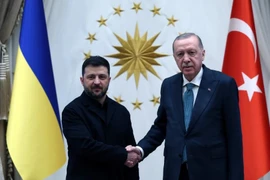 Nội dung cuộc hội đàm giữa Tổng thống Ukraine và Thổ Nhĩ Kỳ