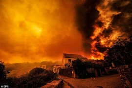 Hãi hùng cảnh cháy rừng như hỏa ngục ở Bồ Đào Nha