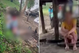 Bà mẹ thuê người sát hại con, nguyên nhân không ngờ