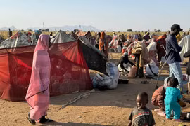 Lực lượng RSF bị tố sát hại hàng trăm người trong bệnh viện 