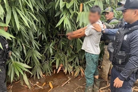 Con rể sát hại cha vợ, bỏ trốn vào rừng