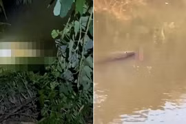 Đang tắm dưới sông, người đàn ông bị cá sấu tấn công tử vong