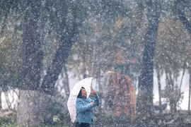 Hình ảnh tuyết rơi trắng xóa ở thành phố Cáp Nhĩ Tân