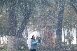 Hình ảnh tuyết rơi trắng xóa ở thành phố Cáp Nhĩ Tân