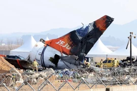 Thông tin mới vụ tai nạn máy bay Jeju Air khiến 179 người thiệt mạng