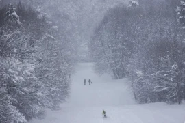 Cảnh tuyết rơi trắng xóa ở Hungary