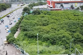 Dự án tháp tài chính gần 4.000 tỷ đồng ở Hà Nội "hoá rừng" 