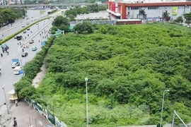 Dự án tháp tài chính gần 4.000 tỷ đồng ở Hà Nội "hoá rừng" 