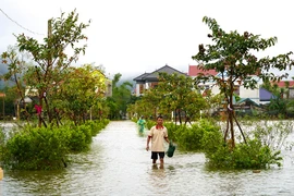 Thời tiết ngày 1/11: Mưa lớn diện rộng ở Trung Bộ, Bắc Bộ trời lạnh 