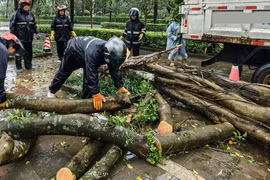 Cảnh ngổn ngang tại Trung Quốc sau bão Matmo