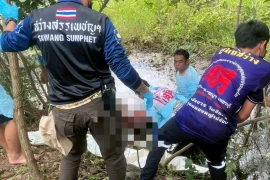 Phát hiện thi thể nữ giới bị trói vào khúc gỗ trong ao nước