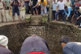 Xuống giếng cứu động vật, 5 người tử vong thương tâm