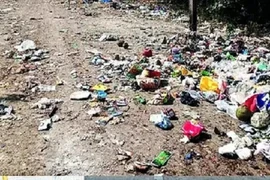 Ngủ dưới gốc cây, người đàn ông chết oan vì xe chở rác