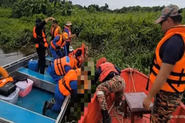 Đang câu cá cùng bố vợ, con rể bị cá sấu tấn công tử vong