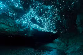 Loạt khoảnh khắc siêu thực khiến người nhìn sửng sốt