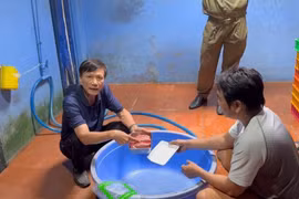 Thủ đoạn 'phù phép' thịt lợn sề thành thịt nhím, nai, bắp dê Úc