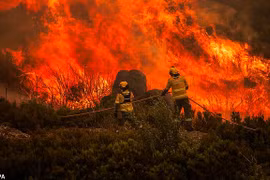 Toàn cảnh cháy rừng dữ dội ở Châu Âu giữa nắng nóng