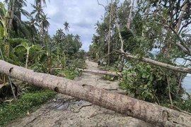 Hình ảnh bão Bualoi tàn phá Philippines, ít nhất 10 người thiệt mạng
