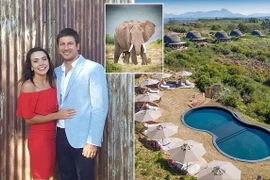 Bị voi tấn công, chủ khu bảo tồn động vật hoang dã tử vong