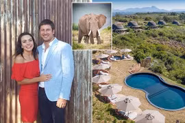 Bị voi tấn công, chủ khu bảo tồn động vật hoang dã tử vong