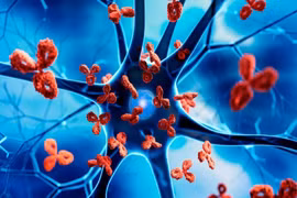 Liệu pháp mới thử nghiệm điều trị bệnh tự miễn