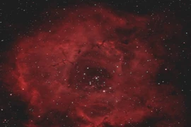 Roscosmos gửi tặng 'bó hoa vũ trụ' tuyệt đẹp tới phụ nữ dịp 8/3