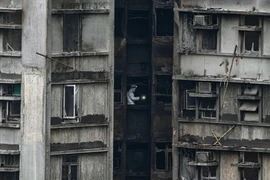 Thương vong mới nhất trong vụ cháy chung cư ở Hong Kong