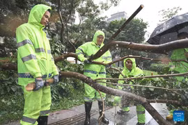 Hình ảnh bão Wipha đổ bộ miền nam Trung Quốc