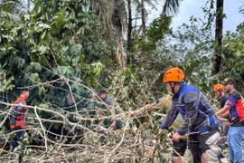 Bão Kalmaegi đổ bộ vào Philippines, hàng nghìn người sơ tán