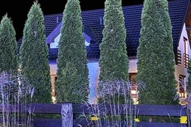 Phát hiện thi thể 3 mẹ con trong bể phốt ở Ba Lan