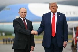 Ông Trump tin Tổng thống Putin muốn chấm dứt xung đột Ukraine
