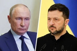 Tổng thống Putin mời ông Zelensky tới Moscow để đàm phán