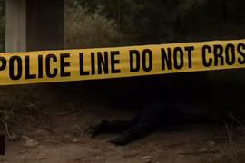 Phát hiện thi thể cô gái mất tích sau khi đi xin việc