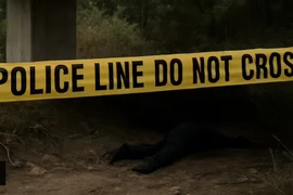 Phát hiện thi thể cô gái mất tích sau khi đi xin việc