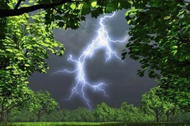 Sét đánh khi đang trú mưa, 9 người tử vong