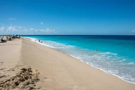 Người phụ nữ bị cá mập tấn công tử vong trên bãi biển