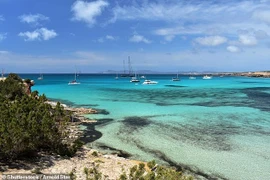 Bí ẩn 5 thi thể bị trói tay chân trôi dạt vào bãi biển