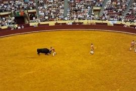 Đấu sĩ 22 tuổi tử vong sau cú húc của bò tót