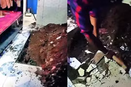 Phát hiện thi thể dưới nền gạch, lộ tội ác rúng động