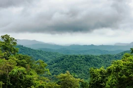 Nam du khách mất tích bí ẩn khi vào rừng ở Ninh Bình