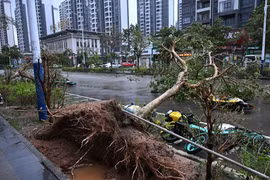 Cảnh ngổn ngang tại thành phố ở Trung Quốc sau bão Ragasa
