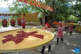 Ấn tượng lễ hội thu hoạch của nông dân Trung Quốc