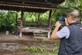 Người đàn ông đâm bạn tử vong trong cuộc nhậu